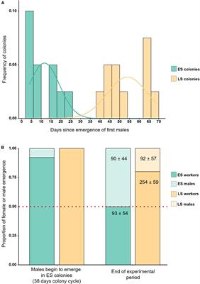 Distinct Colony Types Caused by Diploid Male Production in the Buff-Tailed Bumblebee Bombus terrestris